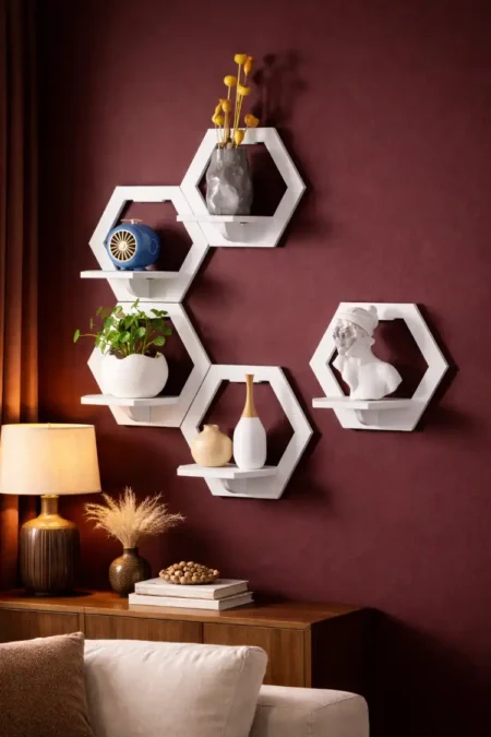 Anayat Modern Hexa Shelves
